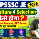 UPSSSC JE Agriculture में Selection कैसे होगा 2026? जानें Selection Process, PET Score, Exam और पूरी जानकारी